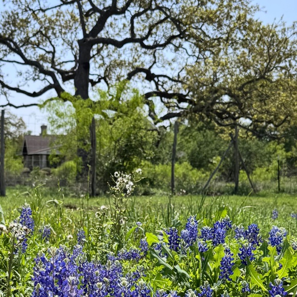 Meet your Posher, Brenda - Picture 8 of 12